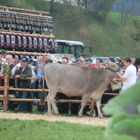 Gastreinhof Meltina Zewnętrze zdjęcie
