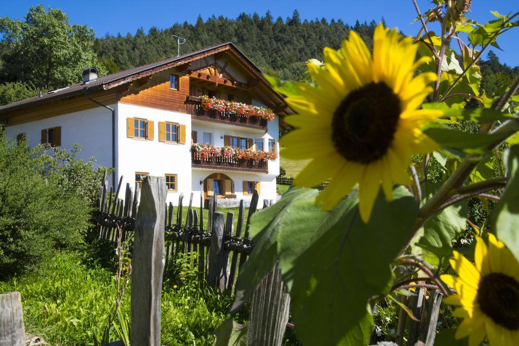 Gastreinhof Meltina Zewnętrze zdjęcie