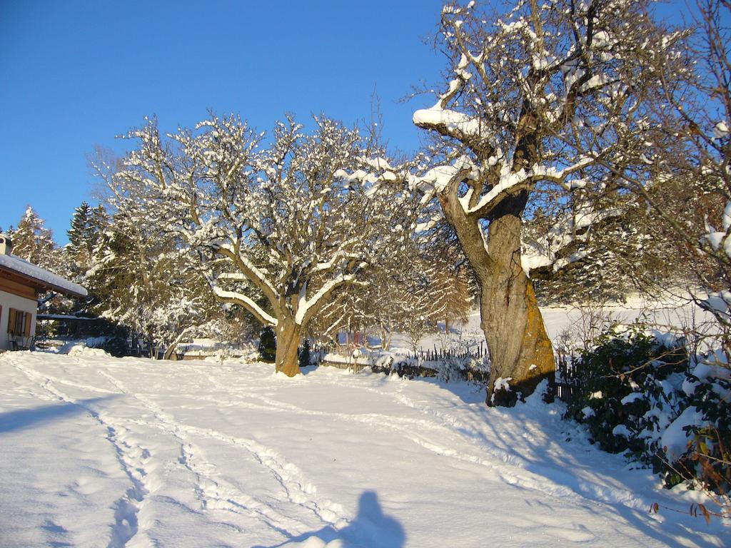 Gastreinhof Meltina Zewnętrze zdjęcie